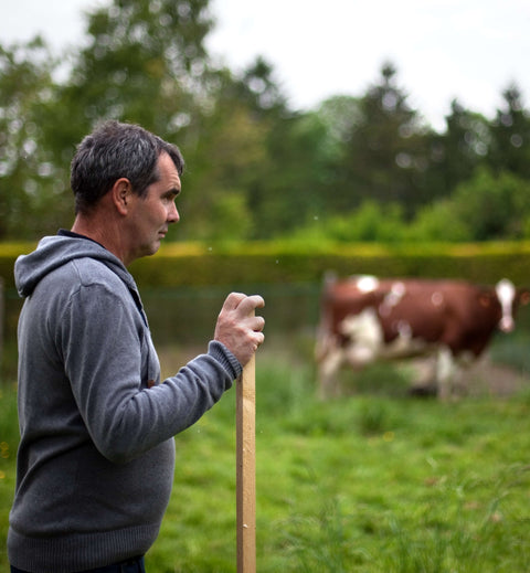 Crise du lait : état des lieux et solutions