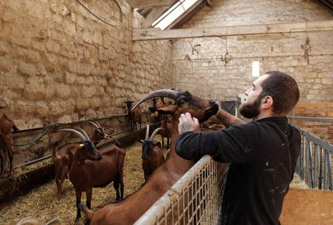 La Ferme de Moyembrie : le fromage solidaire au lait cru de chèvre