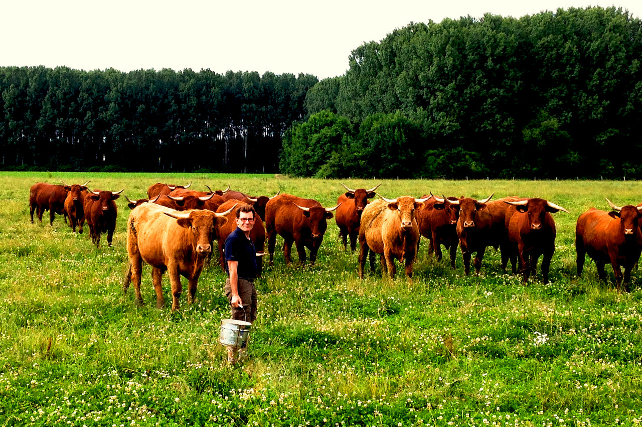 François Courboin Kelbongoo